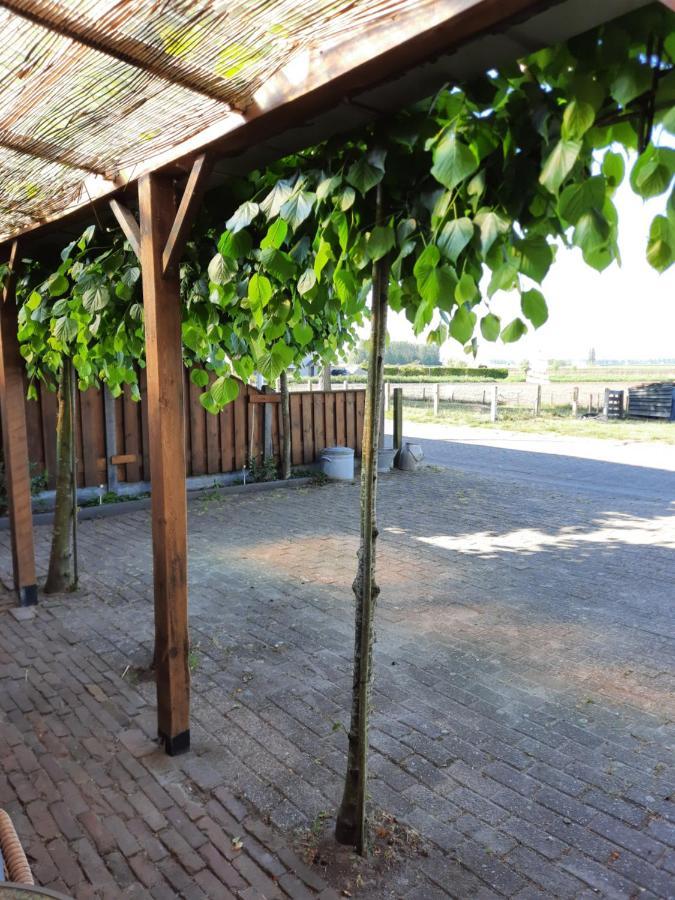Anneke'S Bed En Botterhammeke Apartment Woensdrecht Екстериор снимка