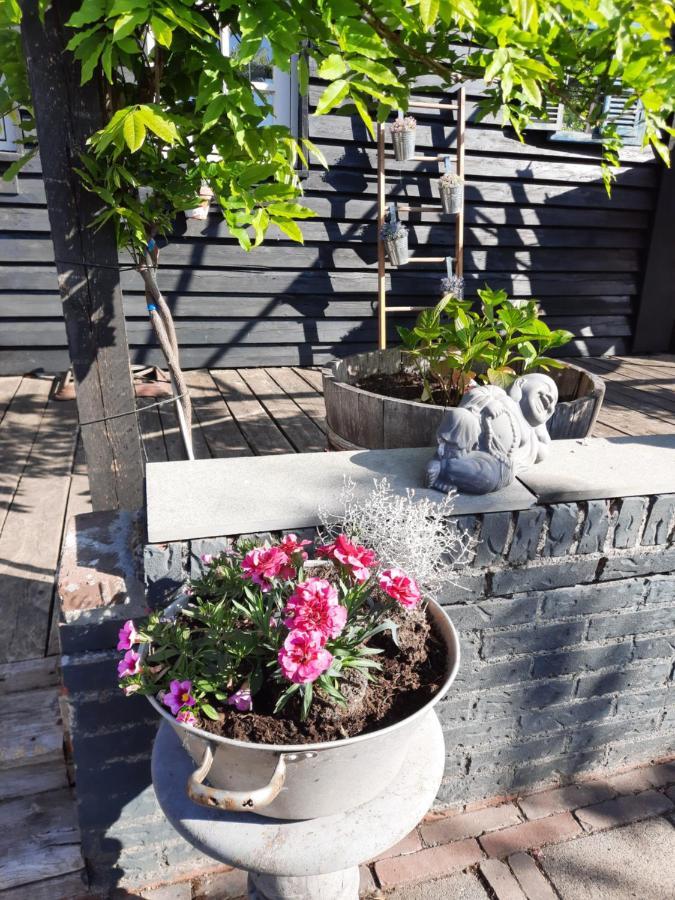 Anneke'S Bed En Botterhammeke Apartment Woensdrecht Екстериор снимка