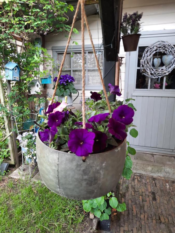 Anneke'S Bed En Botterhammeke Apartment Woensdrecht Екстериор снимка