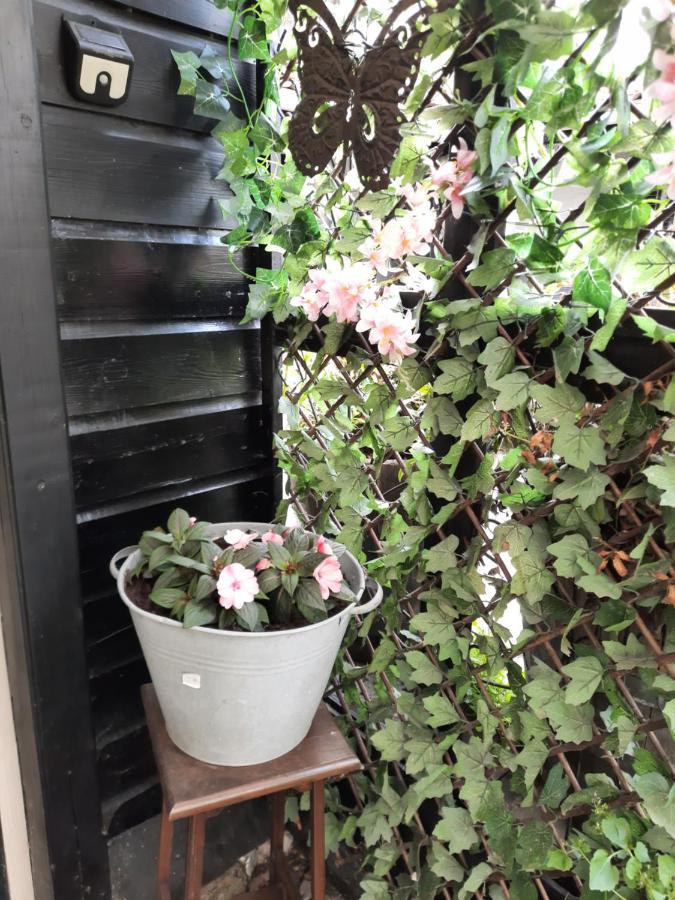 Anneke'S Bed En Botterhammeke Apartment Woensdrecht Екстериор снимка