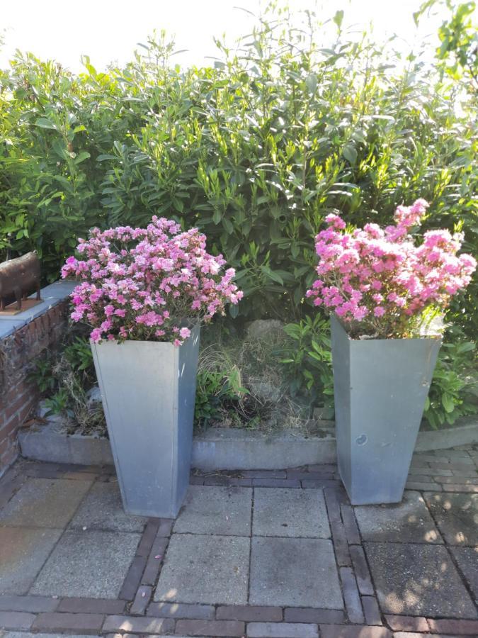Anneke'S Bed En Botterhammeke Apartment Woensdrecht Екстериор снимка